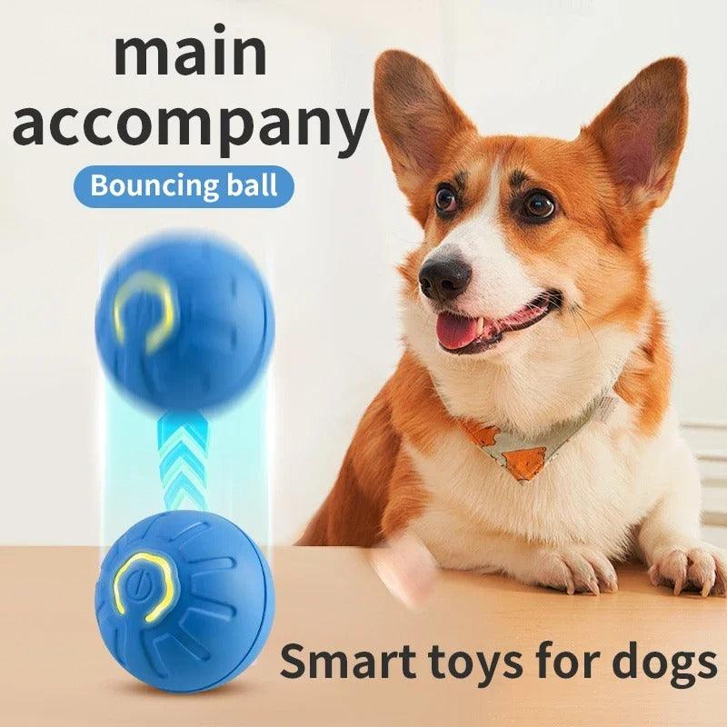Brinquedo eletrônico interativo para cães - DG_Importados