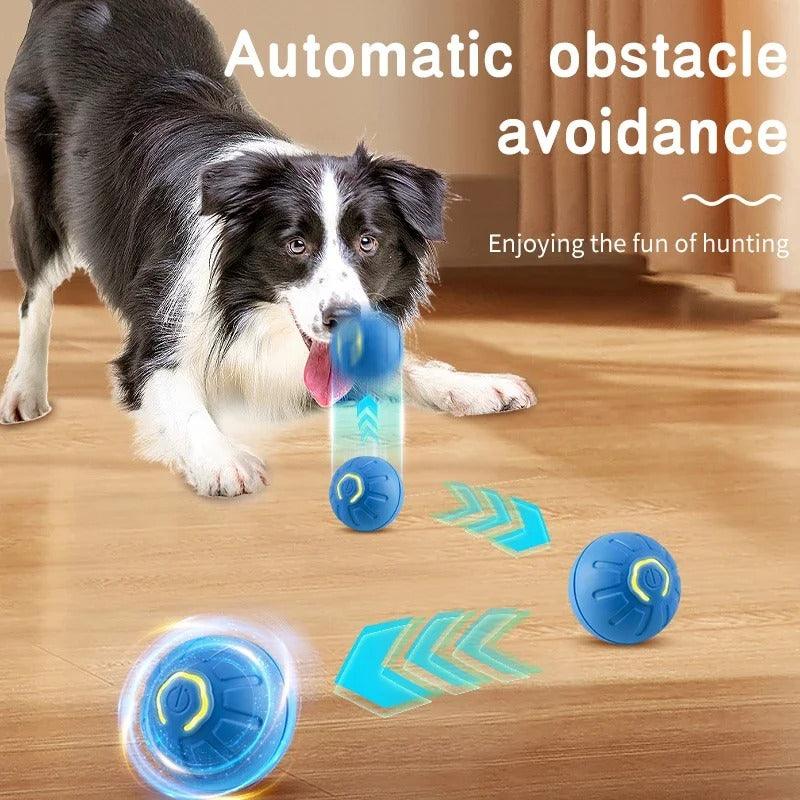 Brinquedo eletrônico interativo para cães - DG_Importados